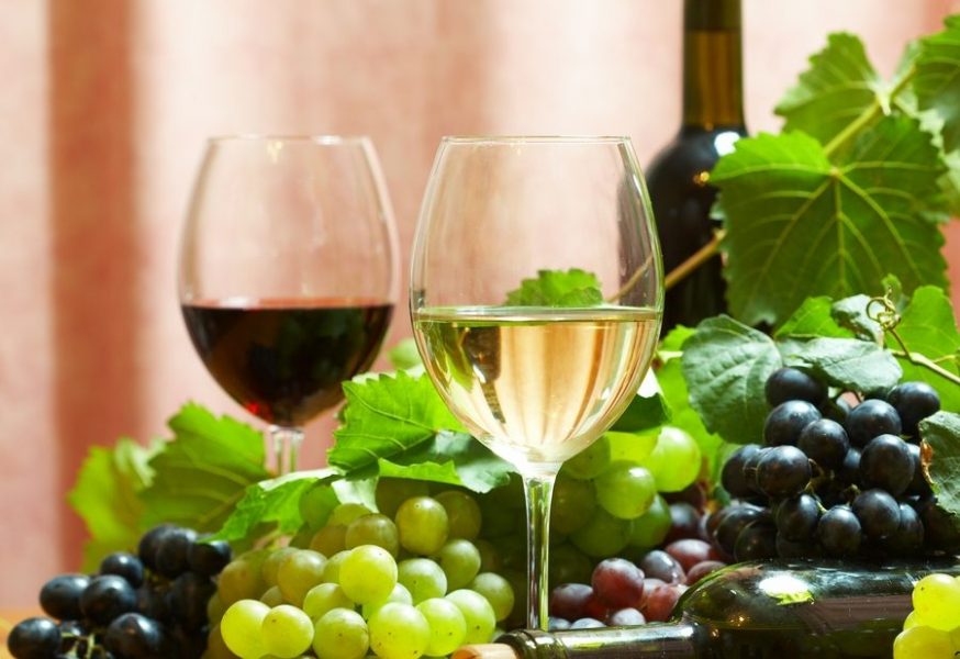 Ten najlepší výber z talianskych vín