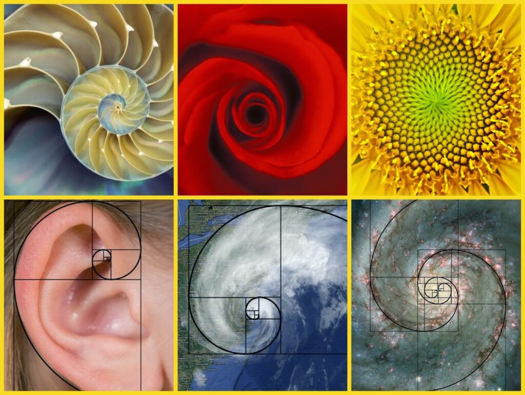 Fibonacci